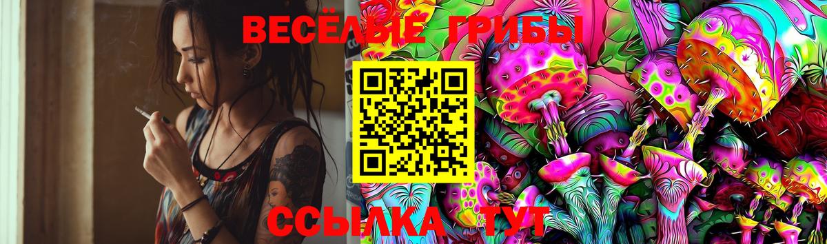 Галлюциногенные грибы Psilocybine cubensis Димитровград