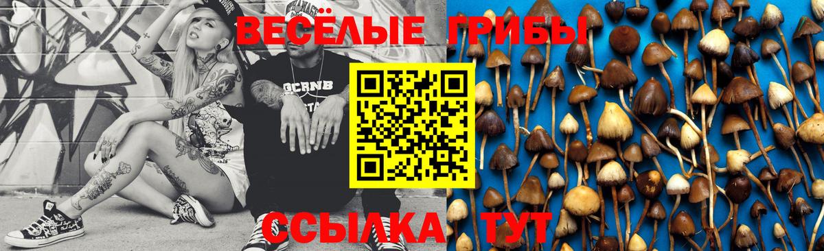 наркотики  Псилоцибиновые грибы Magic Shrooms  Вход с VPN  Димитровград  Псилоцибиновые грибы Psilocybe 