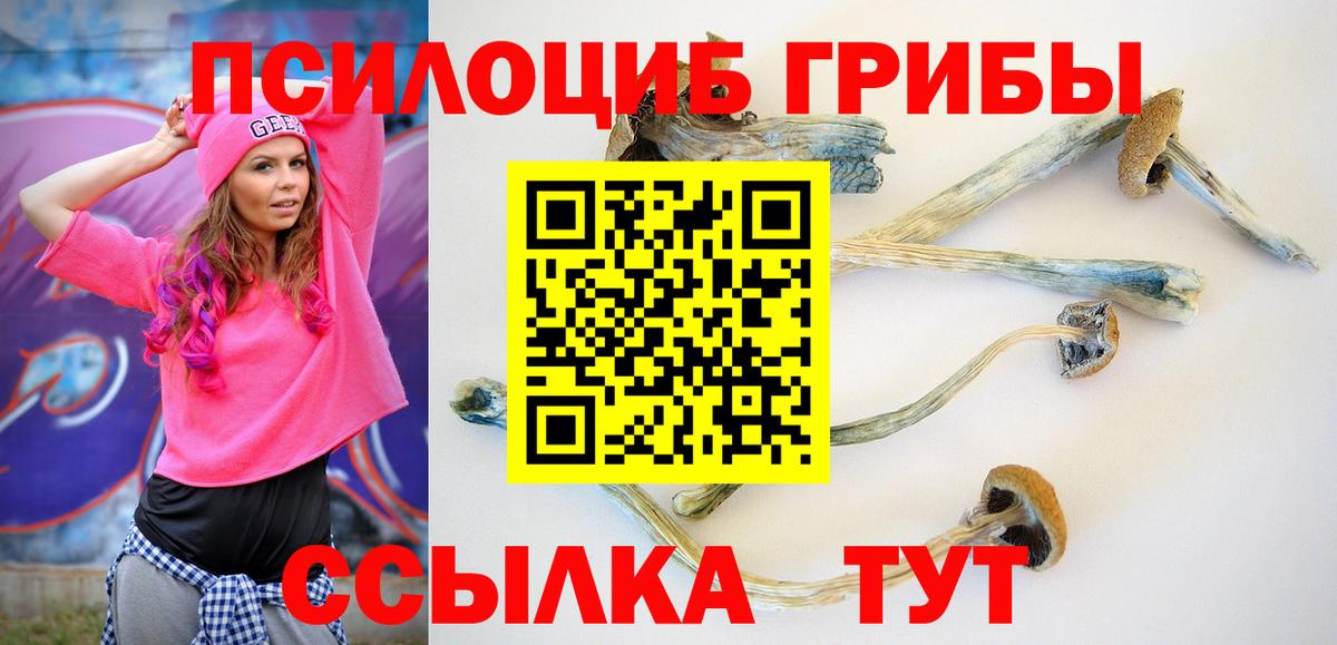 Конопля Димитровград